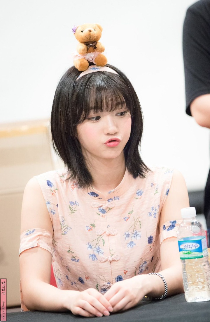 데이비니 이미지