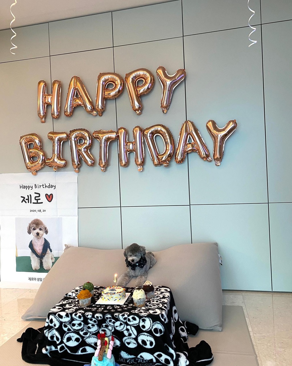 994DC13F5F3ECF4607F6E3