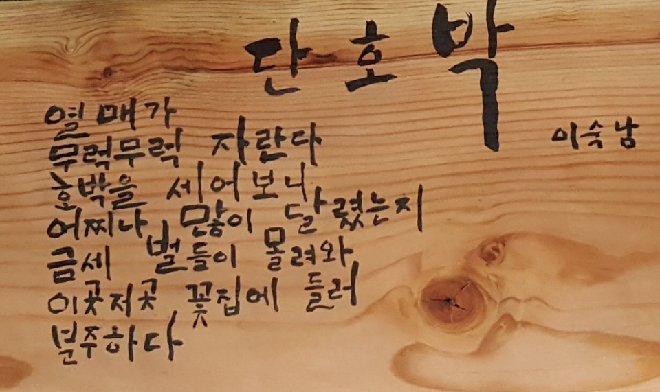 모녀전 이미지