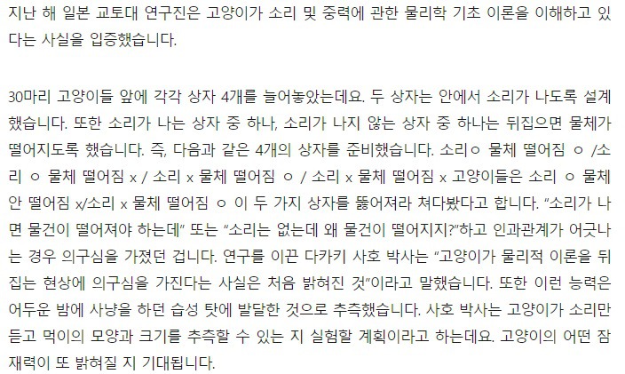 고양이는 중력의 법칙을 이해한다 | 인스티즈