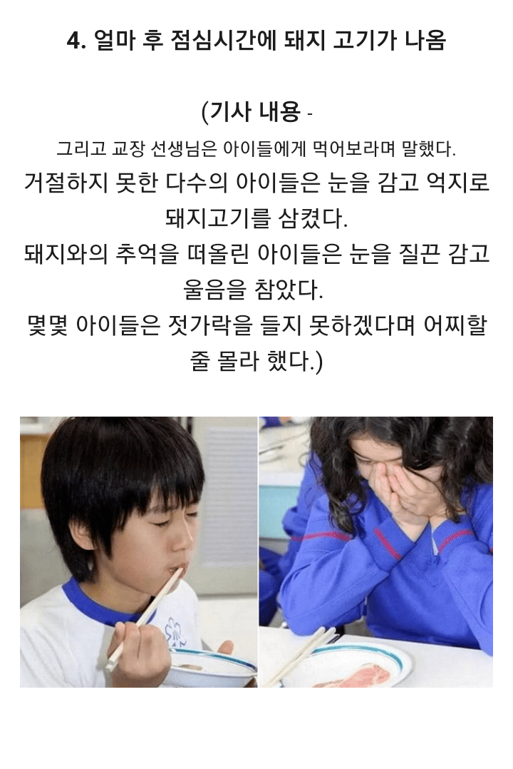 일본의 흔한 초등학교 | 인스티즈