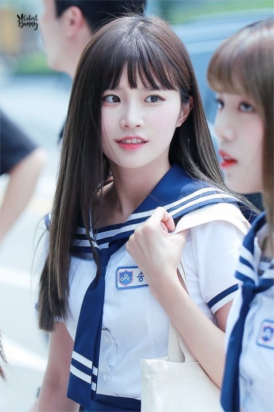 아이돌학교 송하영,이새롬,장규리 | 인스티즈