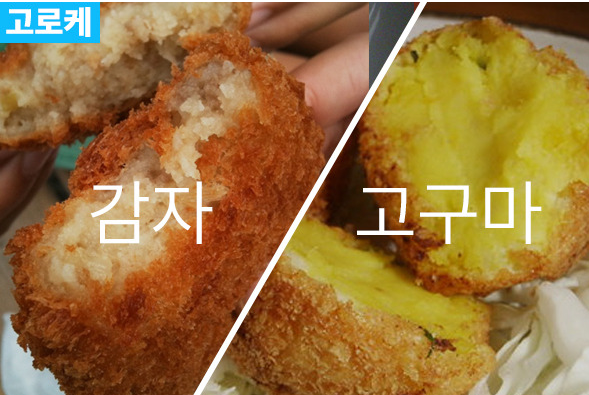 감자 vs 고구마 여러분들의 선택은? | 인스티즈