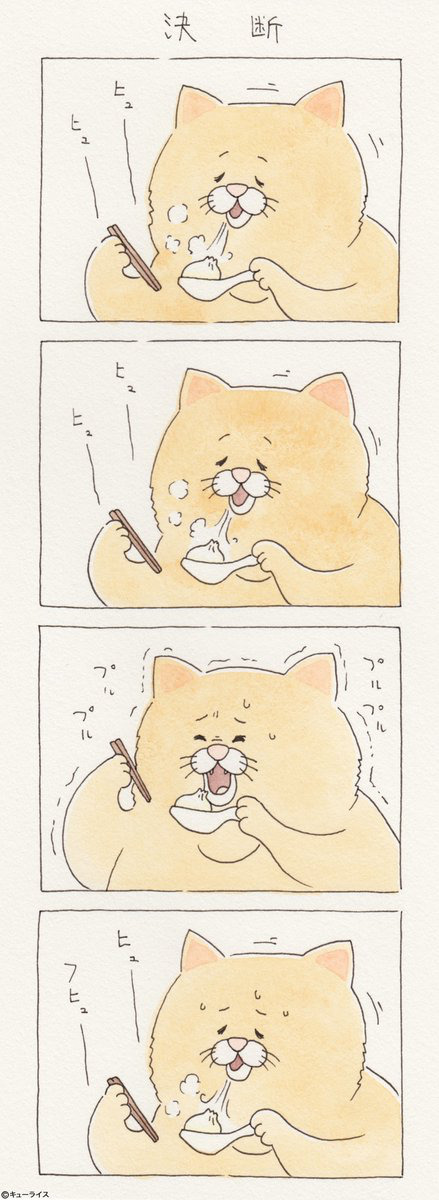 뭐든지 안 되는 고양이 시리즈.jpg | 인스티즈