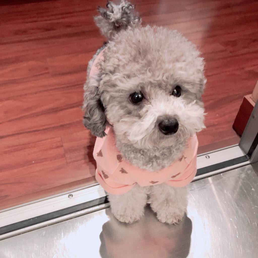 995BED425E56CE46087BA6