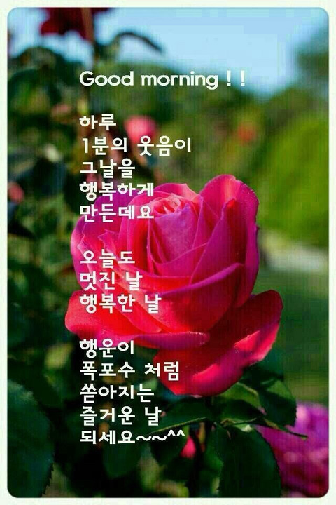 토요일 이미지