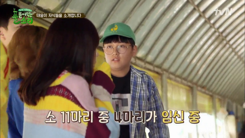 [풀뜯어먹는소리] 닭에서 시작해 소까지 살 수 있게 된 중딩농부 태웅.jpg | 인스티즈