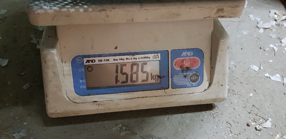 (주)소자매 이미지