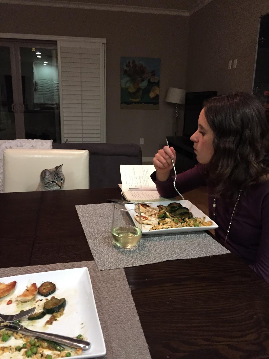 밥 먹을 때마다 쳐다보는 고양이 | 인스티즈