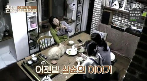 [효리네민박] 길에서 만난 강아지. jpgif | 인스티즈