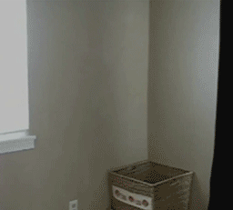 고양이 활용법.gif | 인스티즈