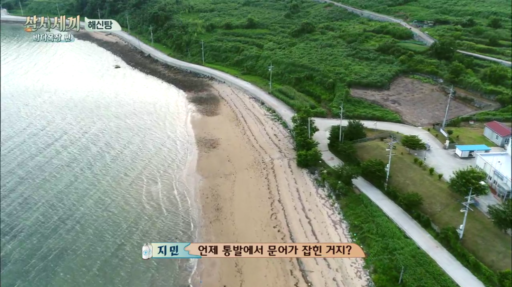 한지민을 물음표살인마로 만든 삼시세끼 역대급 비쥬얼 해신탕 | 인스티즈