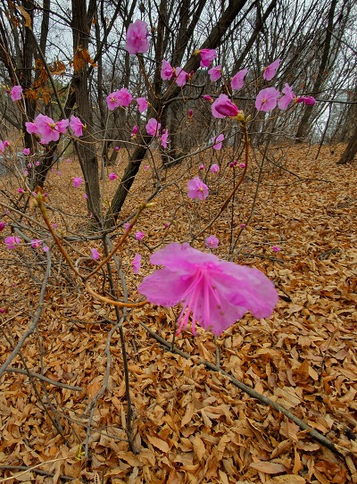 996824415C9F0D941318BE