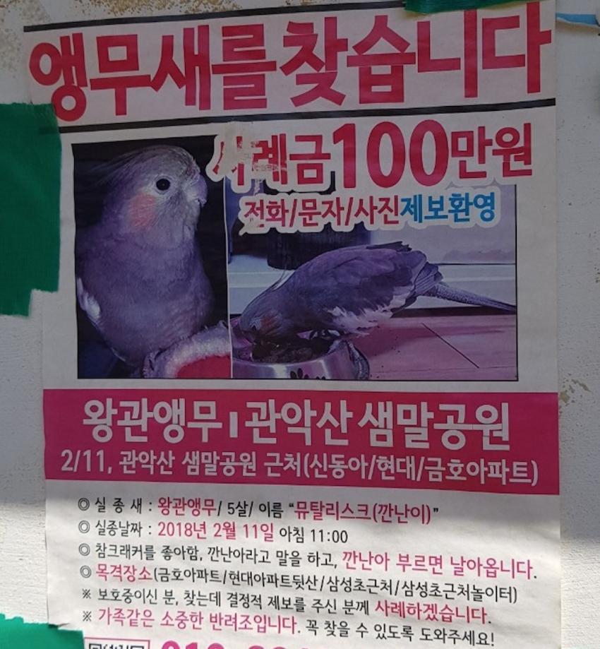 100만원짜리 뮤탈리스크 . jpg | 인스티즈