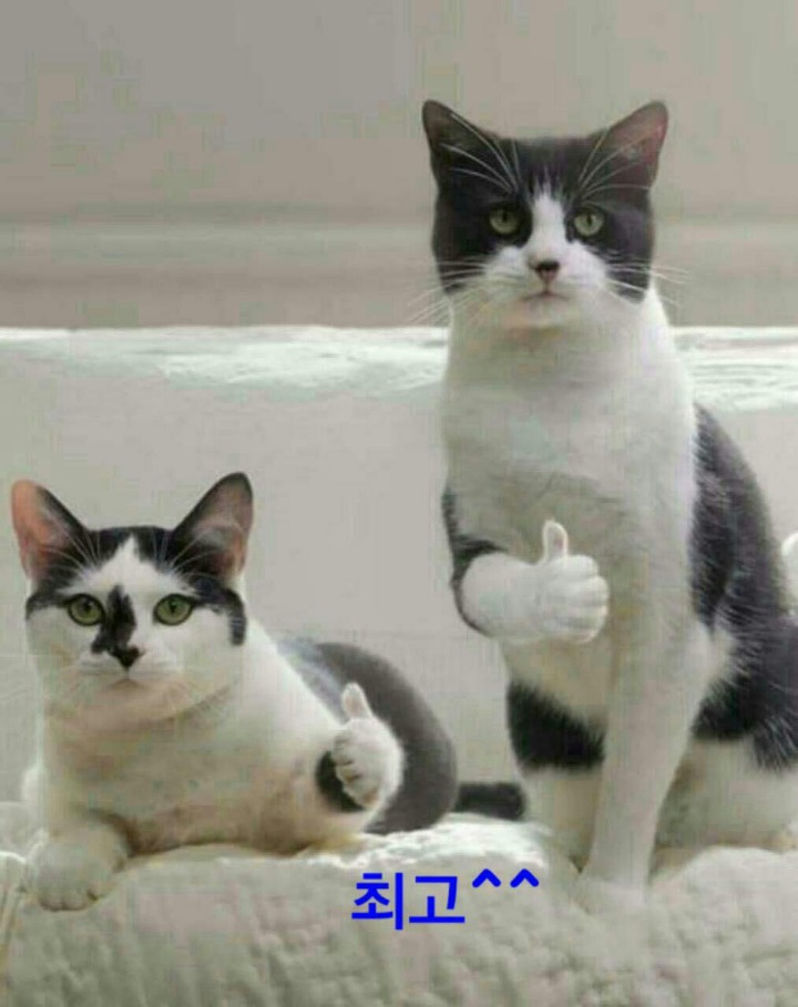 오후 이미지