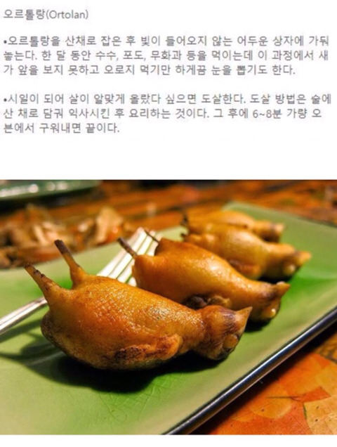 개고기가 잔인하다며 비난하던 나라의 음식 클라스 | 인스티즈