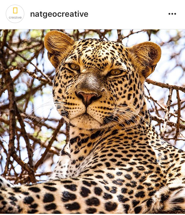 기분 안좋아 보이는 냥이 | 인스티즈