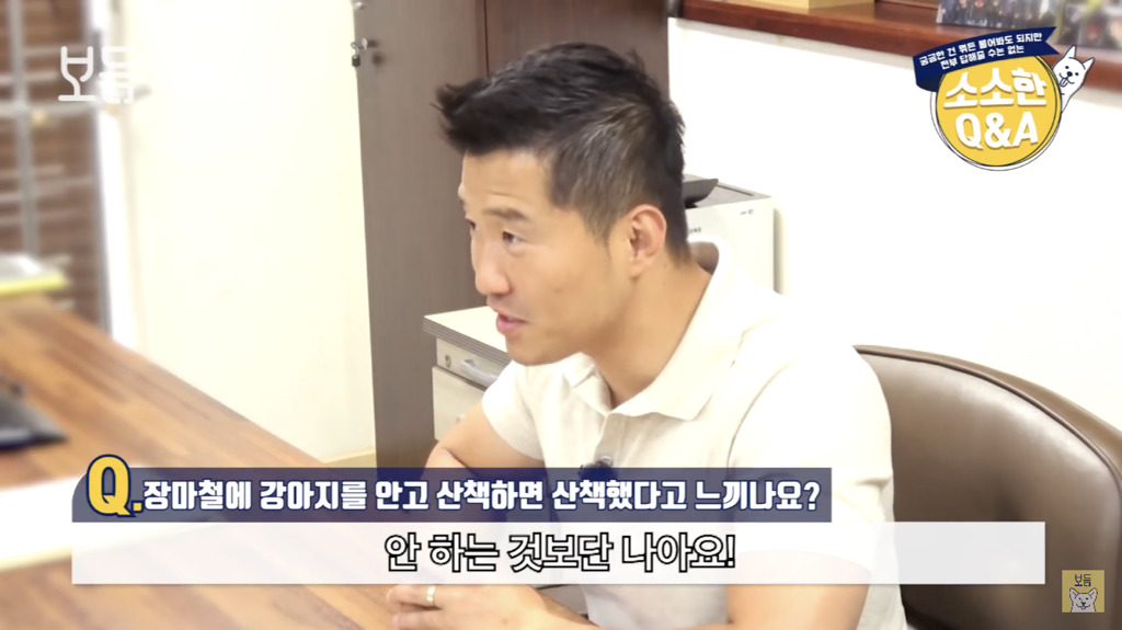 장마철에 강아지를 안고 산책하면 산책했다고 느끼나요?.jpg | 인스티즈