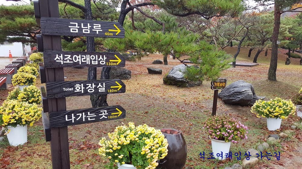 청풍스카이 이미지