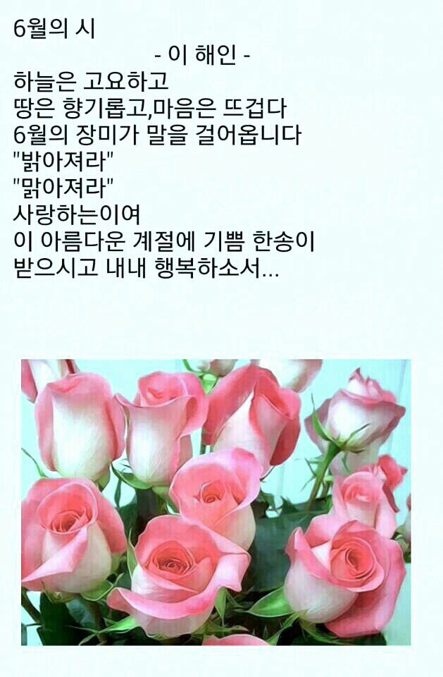 싱싱마늘 이미지