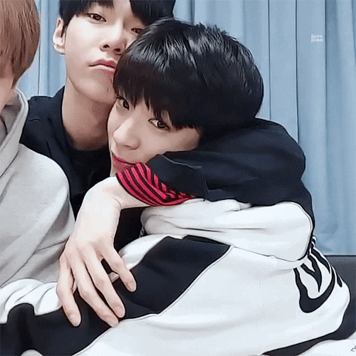 화이 이미지