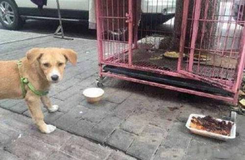밥도둑 이미지