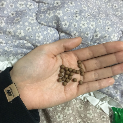 장염 달고사는 사람들만 아는 약 | 인스티즈