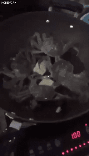 우리는 튀김이 되지 않는다!.gif | 인스티즈