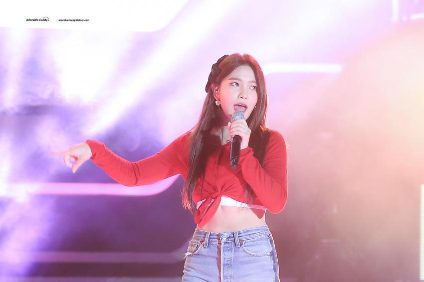 피버 페스티벌 레드벨벳 | 인스티즈