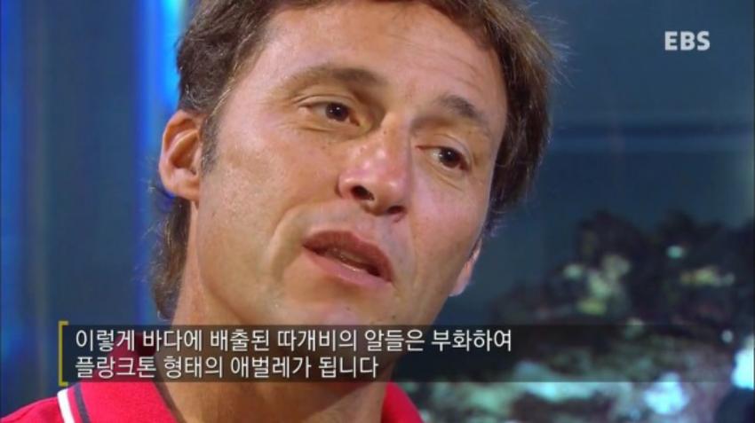 강제 성전환당하는 게..JPG | 인스티즈