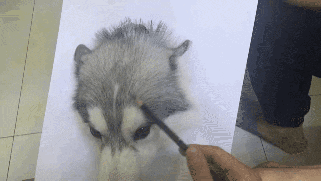 극사실주의 댕댕이 그림.gif | 인스티즈