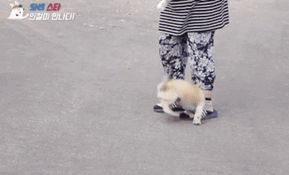 집 지키기는 힘들 거 같은 짱절미 | 인스티즈