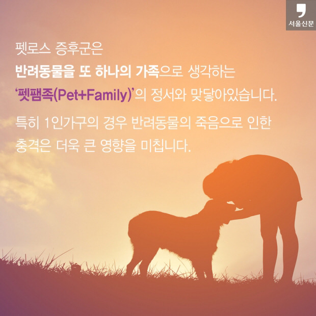 처음 반려동물 만났을때 너무 좋고 예뻐서 전혀 생각하지 못하는 것.jpg | 인스티즈