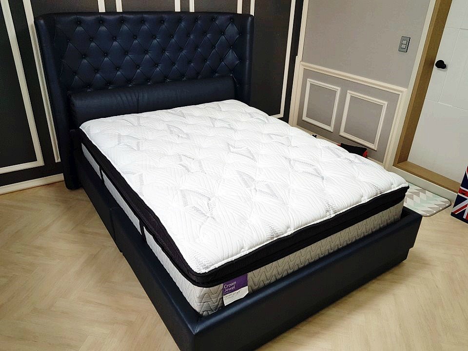 트리수 이미지
