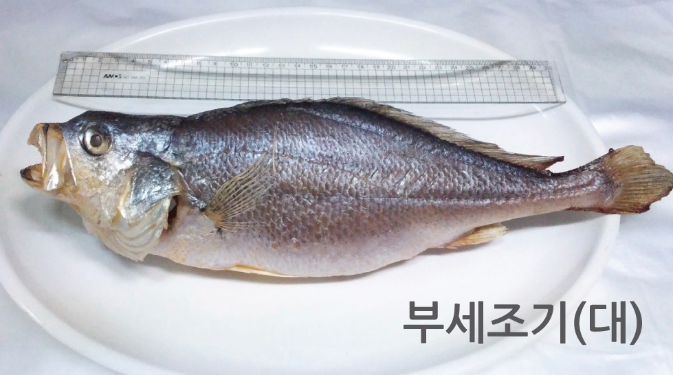 창성유통 이미지