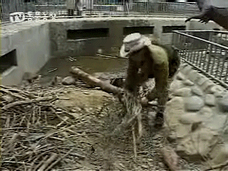 내 집 마련의 꿈? 내 집은 내가 마련한다!.jpgif | 인스티즈