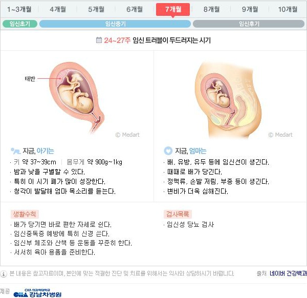 10달동안 무슨 변화가 일어나는걸까?: 임신 알아보기 | 인스티즈