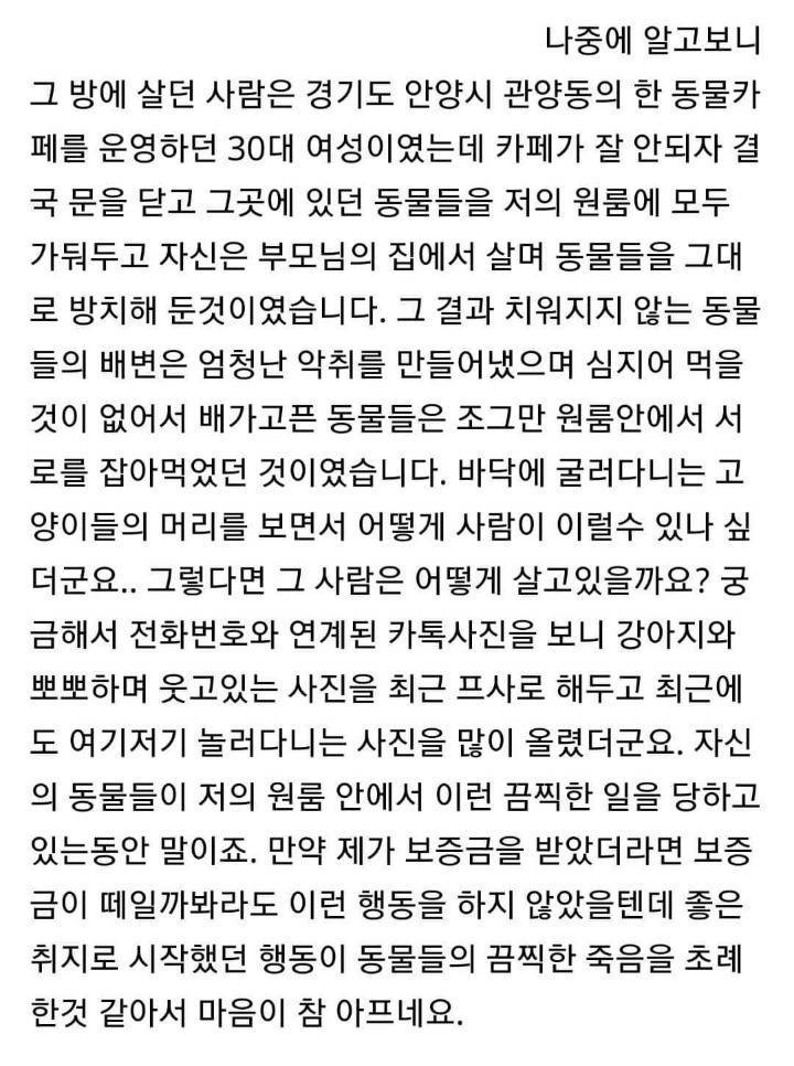 고양이카페 망하자 원룸에 가두고 죽게 만듬 (모자이크 된 사체사진 주의) | 인스티즈