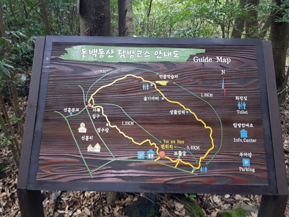 선흘리에 이미지