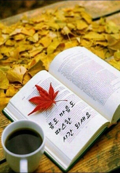 마님 이미지