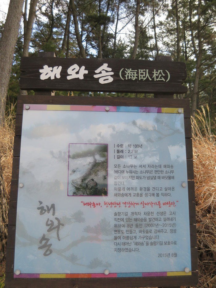 솔향기바다 이미지