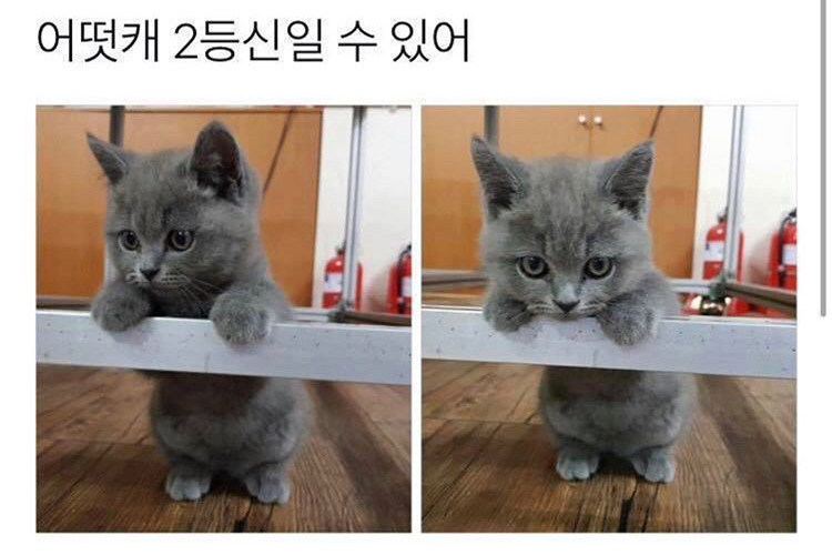 짧아도 귀여운 아기 | 인스티즈
