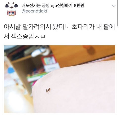 새벽인데 다들 유우머 보고 웃고 가쇼 | 인스티즈