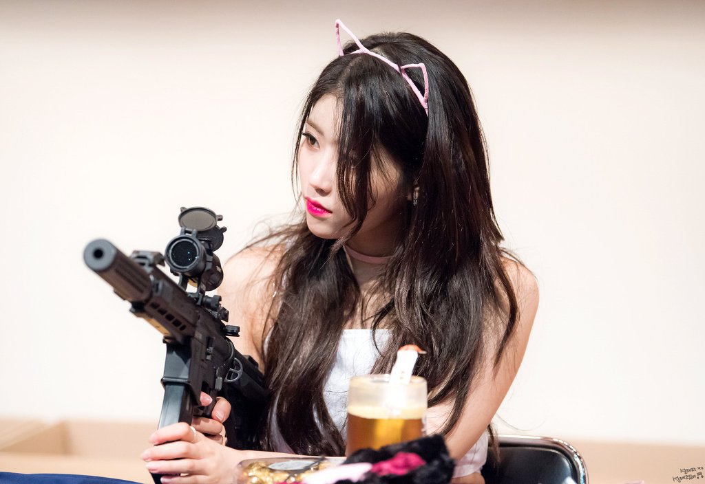 분홍고양이 이미지