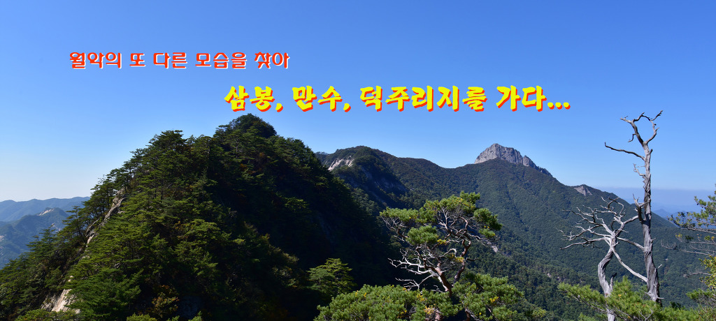 만수 이미지