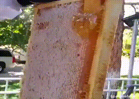 기둥 빼고 다 뺏어가는 건물주의 횡포.gif | 인스티즈