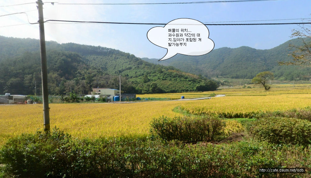 삼덕개발 이미지