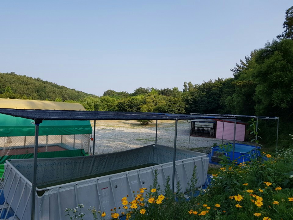 영덕 칠보산 오토캠핑장 이미지