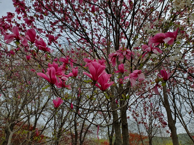 99B6484B5CBD0D8413284B