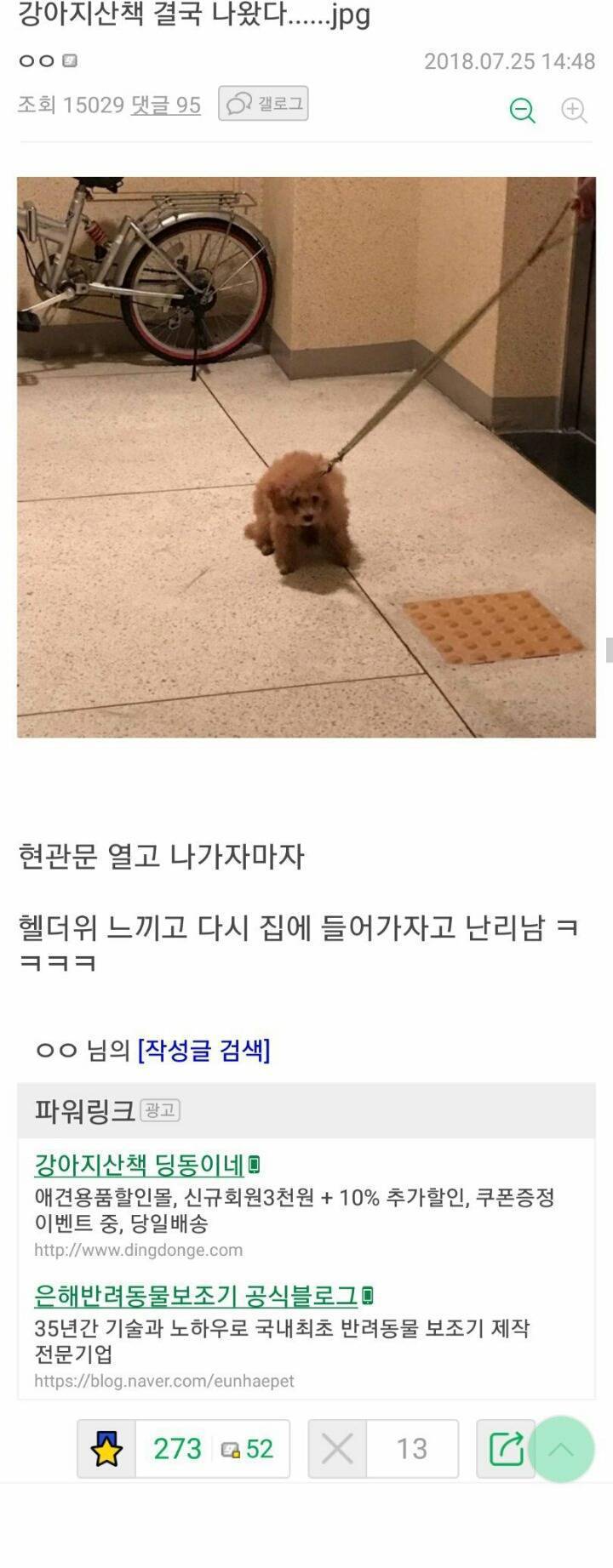 산책나가자던 댕댕이.jpg | 인스티즈